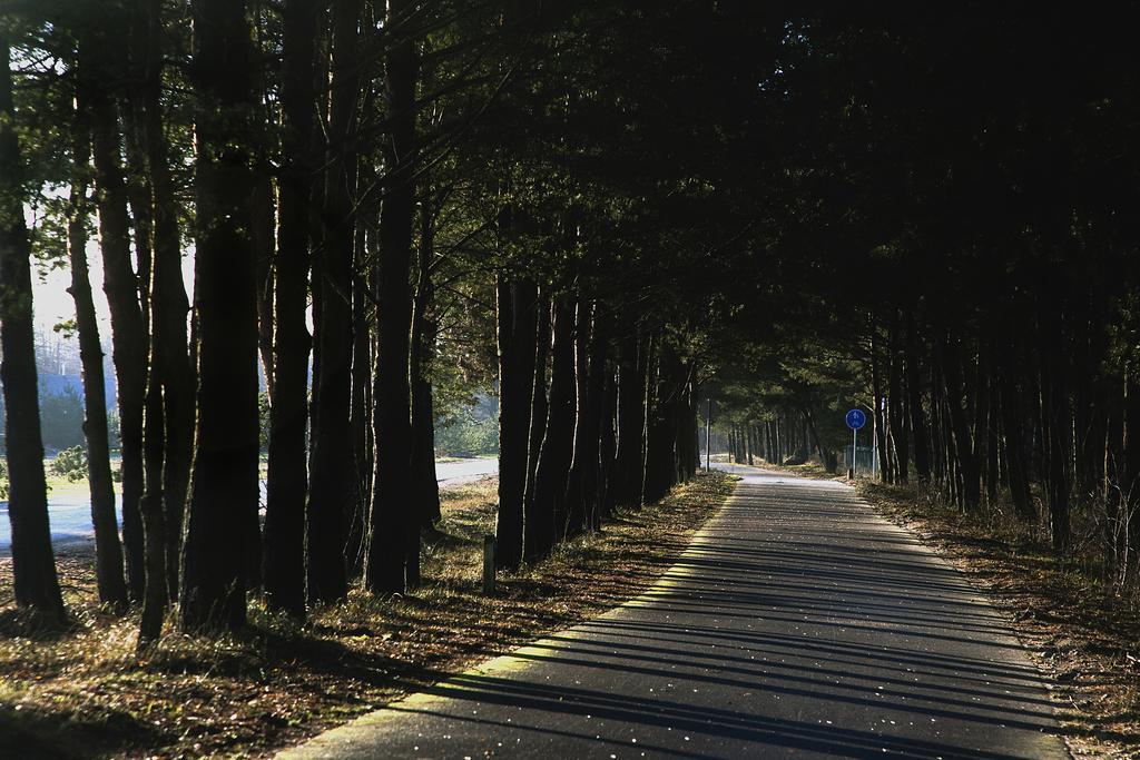 Sodyba Prie Juros Palanga Exterior foto